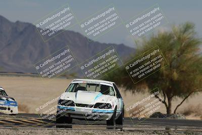 media/Oct-12-2025-Lucky Dog Racing (Sun) [[8adb5568ea]]/3-Third    Stint/4-Turn 4 (Tree of Life)/